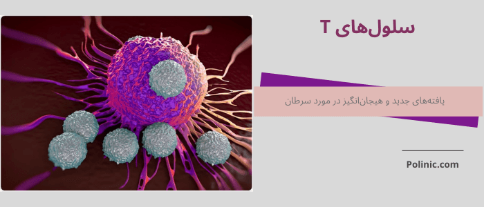 سلول های T در سرطان
